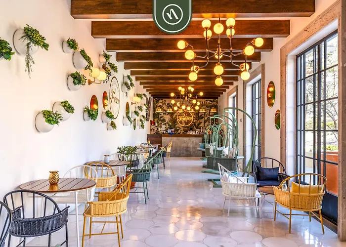 Amazing With 3br - Private Pool Cabo San Lucas